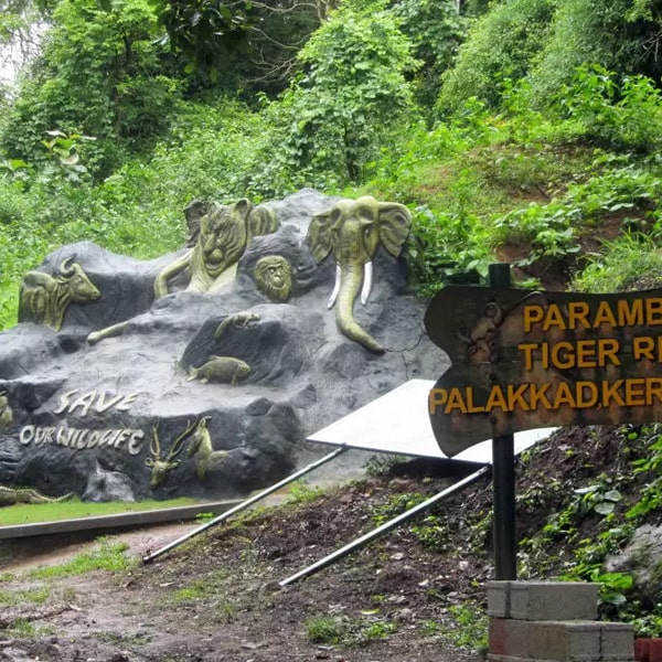 SOUTHERN NATURE AND WILDLIFE ITINERARY (1).jpg